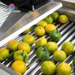 350KG 380V Vegetable drain air drying machine complete set of equipment for