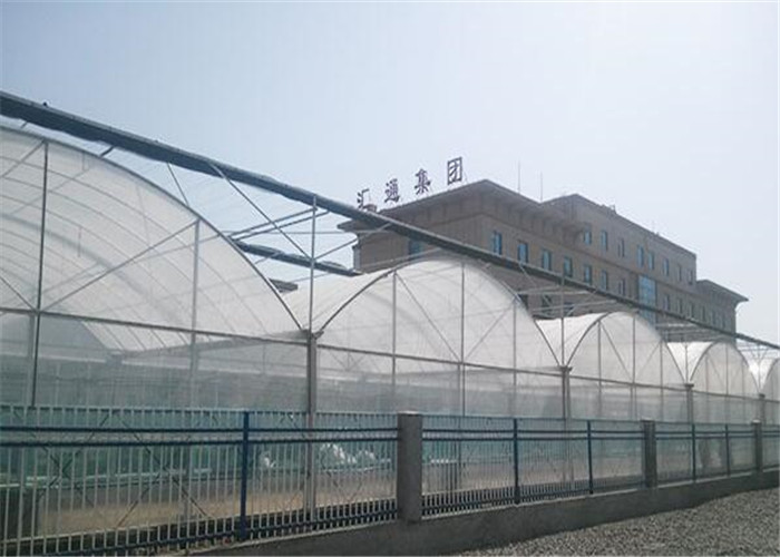 Multi Span Plastic Film Greenhouse For Aquaculture And Livestock Breeding