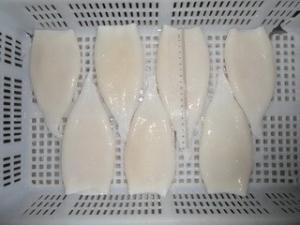 China Frozen squid tubes (Illex argentinus) on sale