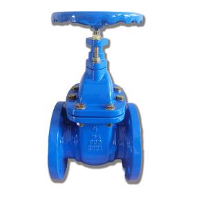 Wholesale OEM Non Rising Stem DN65 Gate Valve Wedge JIS Ductile Iron from china suppliers