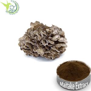 China KOSHER Immunity Enhancement Maitake Mushroom Extract Powder on sale