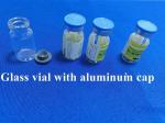 Transparent Brown Injection Glass Vial Serum Glass Bottle For Injection