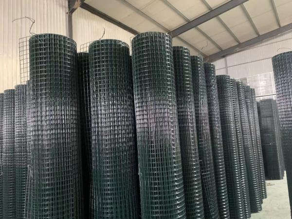 Woven 1 X 1 Galvanized Welded Wire Mesh For Bird Cage / Rabbit Cage / Animal