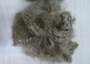 Wholesale Brown Hollow Conjugated Fiber Good Fastness , Recycled Polyester Fiber 7D X 64MM from china suppliers