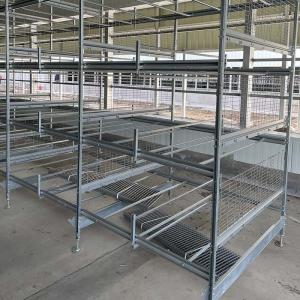 Wholesale 24.5'' Width Battery Cage System For Layers Broiler Pullet H Type from china suppliers