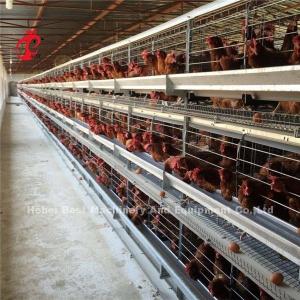 Wholesale China Nigeria Factory Layer Broiler Poultry Chicken Rearing Cage For Sale Ada from china suppliers