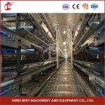 Automatic Poultry Farm Equipment With Automatic Feeding System Rose