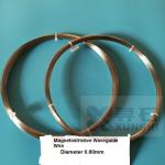 Dia 0.5mm Delivered In Coil Magnetostrictive Wire Straight Status