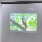 Daylight transparent holographic film , Adhesive Mirror Film For Shopping Malls