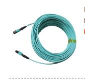 Wholesale DONGWE MPO OM3 Patch Cord from china suppliers
