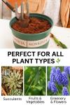3 Liters Water Needed Grow Smarter Compressed Peat Bricks