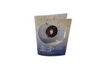 Artificial Christmas Voice Recordable Greeting Cards With Fiber Optic LED Lights