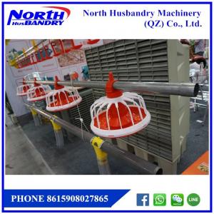 China Poultry Equipment, Poultry Farming, Cages, Poultry Environmental on sale