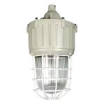 ATEX Explosion Proof Lamps Flameproof IP55 Optional Lamp Shade 220VAC 50-60Hz