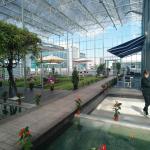 Factory Prefabricated Steel Structure Organic Fertilizer Production Workshop