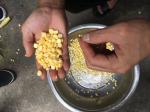 220V Fresh Maize Threshing Machine Stainless Steel Sweet Corn Sheller