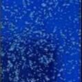 Wholesale Dazzling Blue Marble Effect Wall Tiles Bathroom Verde Green Marble Tile Metallic Texture 1200x2600mm from china suppliers