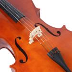 Selected Spruce Advanced Handmade Manufacturer Cello Most drawboards are made of