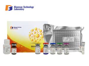 Wholesale Oem Cathepsin B Sandwich Porcine ELISA Kit With Strong Sensitivity And Specificity from china suppliers