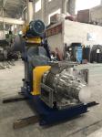 Stordworks Lamella Pump For Crushed Bone Rendering Plant
