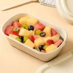 100 Biodegradable Packing Sugarcane Clamshell Food Container Disposable