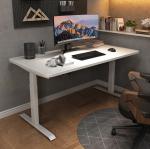 Custom Automatic Electric Elevating Desk for Home Office Double Motor 2 Stage