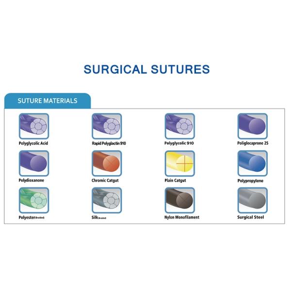 EO Gas Absorbable Surgical Sutures Disposable Medical Instruments