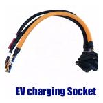 Type 1 Ev Charger Socket With Cable 50A Sae For Electric Vehicle Car AC