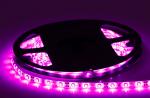Warm White SMD 3528 LED Strip Light Waterproof 60 Led /M 12W/M 3 Years Warranty
