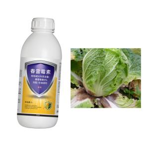 Wholesale Kasugamycin 6% Broad Spectrum Fungal Disease Control Soluble Concentrate from china suppliers