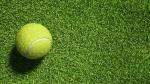 14000 Dtex Artificial Turf Grass Roll 20mm Pile Height Odorless