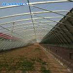 Automatic High Insulated Agricultural Greenhouse With Customized Temperature