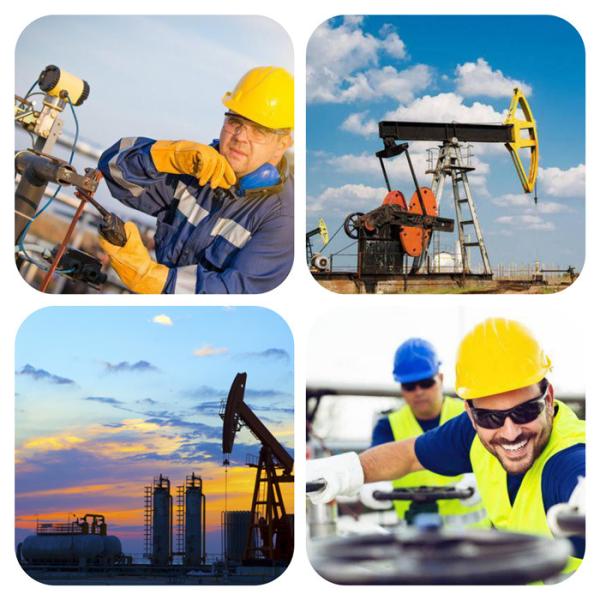 Guar Gum With High Quality Has Super High Viscosity And Medium Degree Of Substitution For Oil And Gas Fracking