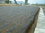 1m Roll Width Asian Design PE Uniaxial Fence Mesh Geogrid for Road Driveway