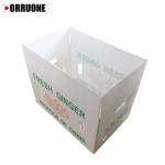 OEM Corflute Fresh Ginger Box Folding Corrugated Plastic Box