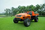 Farm Using Utility Vehicle Dynamic Power Electric Utility Vehicle 600kg capacity