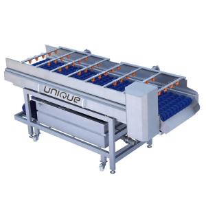 Wholesale Mango Brush Cleaning Machine for Pear Apple Carrot Mud Cleaning 3000*1250*1350 mm from china suppliers