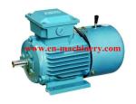 Y2 Series Electric Motor for Pump and Blower with High Efficiency Energy Saving