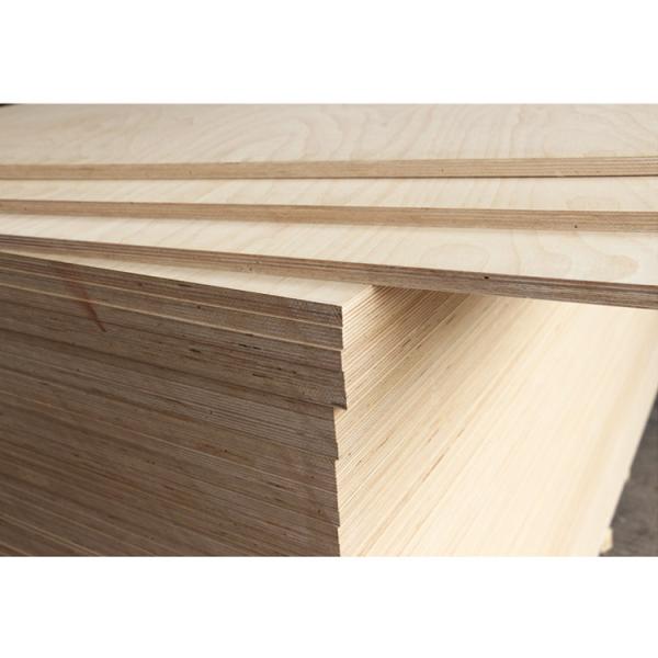 Birch plywood 15mm 16mm 18mm plywood 3mm modern melamine paper