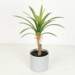 High Imitation Flexible Glue Artificial Dracaena Plant Bonsai 25 CM 32 CM