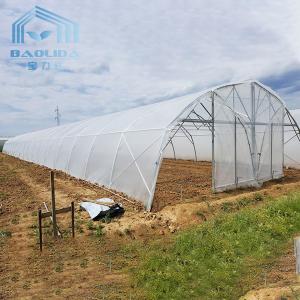 Wholesale Tomato Poly Greenhouse Agricultural Tunnel Plastic Greenhouse For Drip Irrigation Equipment from china suppliers
