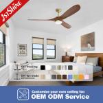 Indoor 10 Wood Blades LED Ceiling Fan with Customized ODM Lighting and Remote