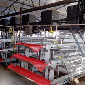 Wholesale 3 Tiers A Type Hot Dipped Battery Chicken Layer Cages Automatic Feeding System from china suppliers