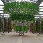 Temporary Heating Hydroponic Film Greenhouse with Humidity Control System JX-FG