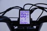 Full Suspension 48V Fat Tire Electric Bike 750W With LCD Display And Rear Hub