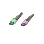 MPO Pigtail Fiber Connector Supports 40G / 100G / 400G Networks