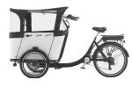 250W Kid / Cargo Electric Delivery Tricycle With Canopy