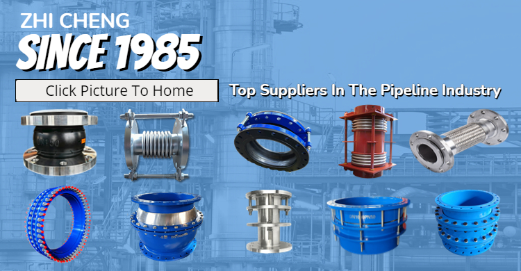 10" Double Flanged Dismantling Joint Carbon Steel Expansion Pipe Metal Expansion Joint
