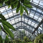 Glass Green House Cover Single Layer Hydroponic System For Greenhouse