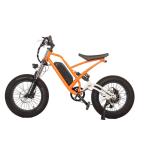 DOMANCA 2024 High Speed Dirt Bike Off-Road Electric Fat Tire E Bike with 20"4.0